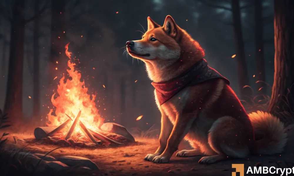 柴犬烧伤率暴增65,141%——SHIB 爆发即将到来？