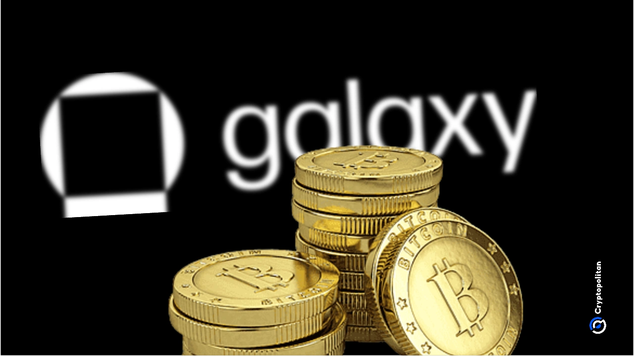 Mike Novogratz\