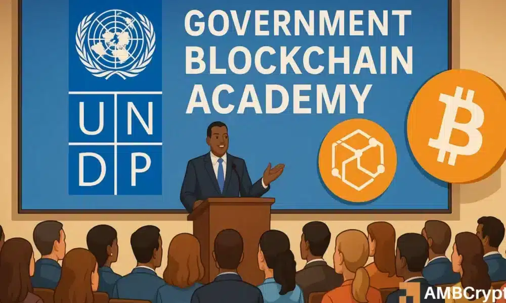 联合国开发计划署推动区块链技术在各国政府中落地的重要性及原因