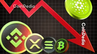 高达 8.01 亿美元的加密货币清算金额今日激增；2025 年 Altseason 将会迎来什么新变化？