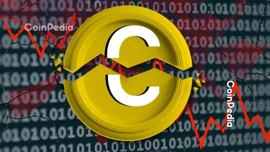 The Cryptocurrency Market Crash Signals Potential for More Declines in the Future